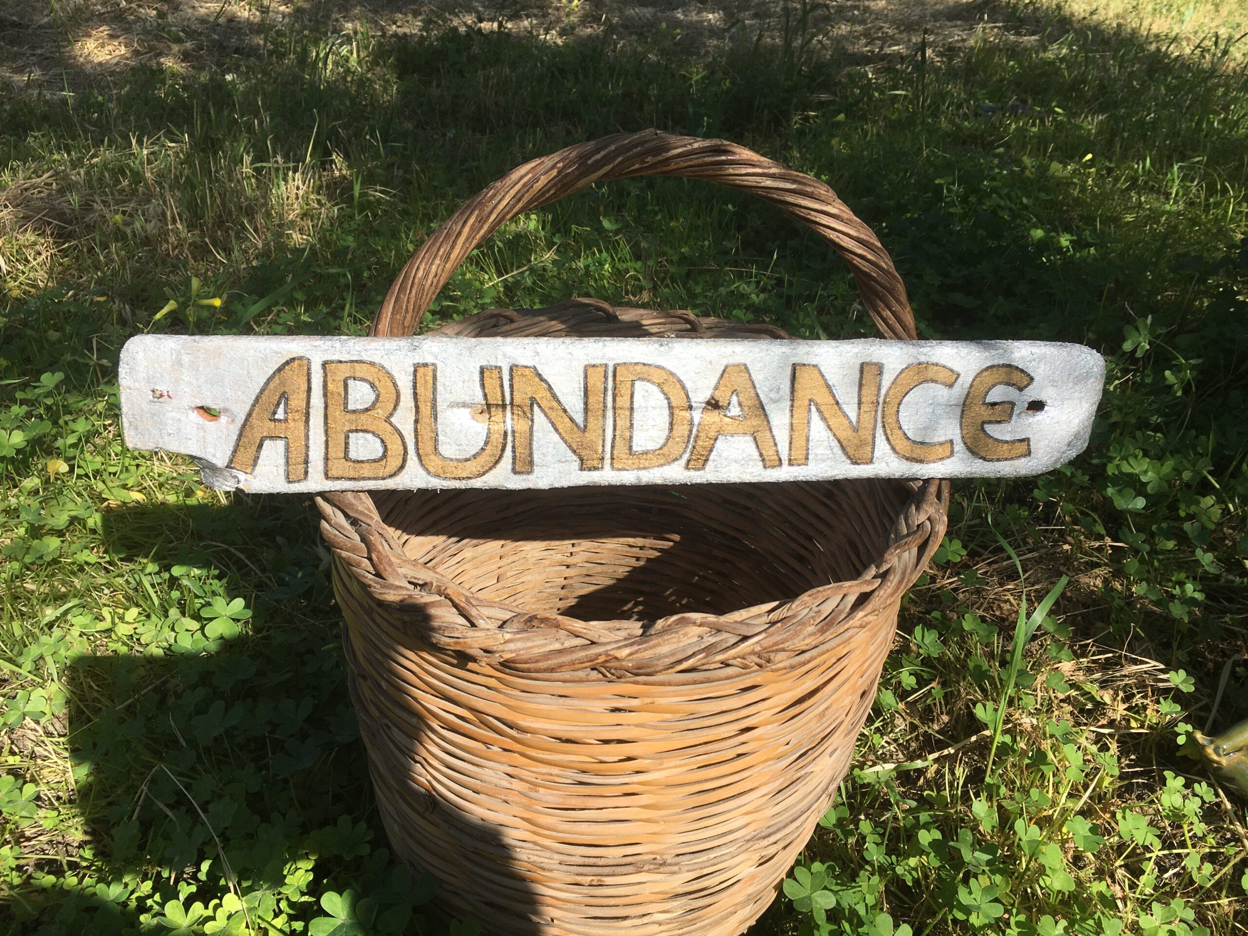 abundance2